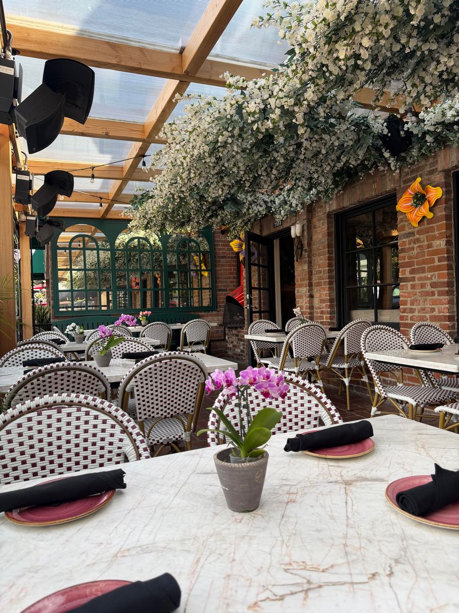 The covered patio with its planting